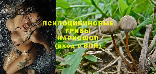 ECSTASY Белокуриха