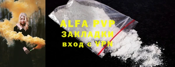 ECSTASY Белокуриха