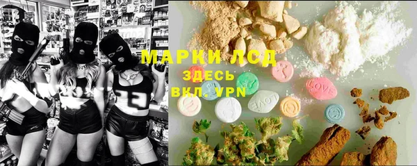 ECSTASY Белокуриха